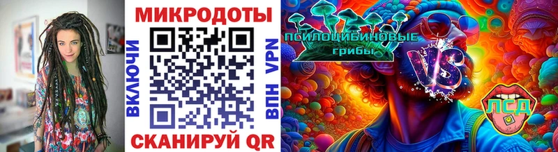 Галлюциногенные грибы Psilocybe  Коломна 