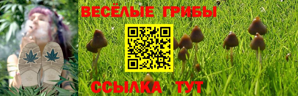 Галлюциногенные грибы GOLDEN TEACHER  Вход с VPN  Коломна 